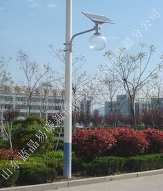 照亮乡村新希望 山东蓝晶易碳太阳能西瓜灯