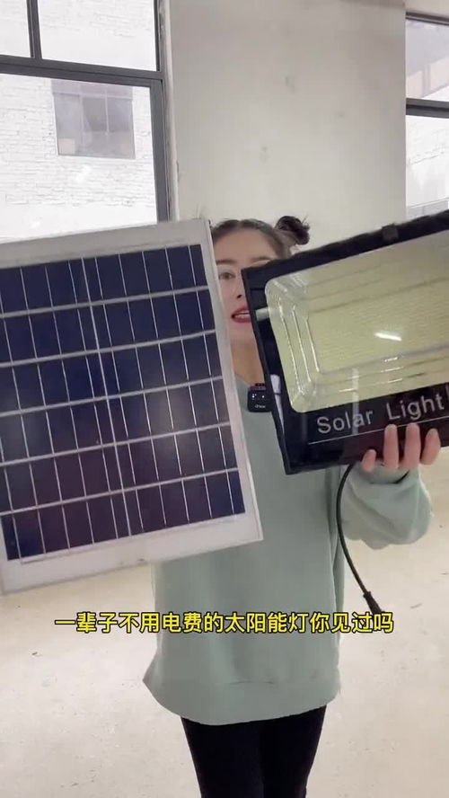 太阳能户外照明 从太阳能路灯到庭院感应灯，照亮绿色未来