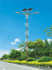 点亮绿色未来 德州万明通光电引领太阳能照明新纪元